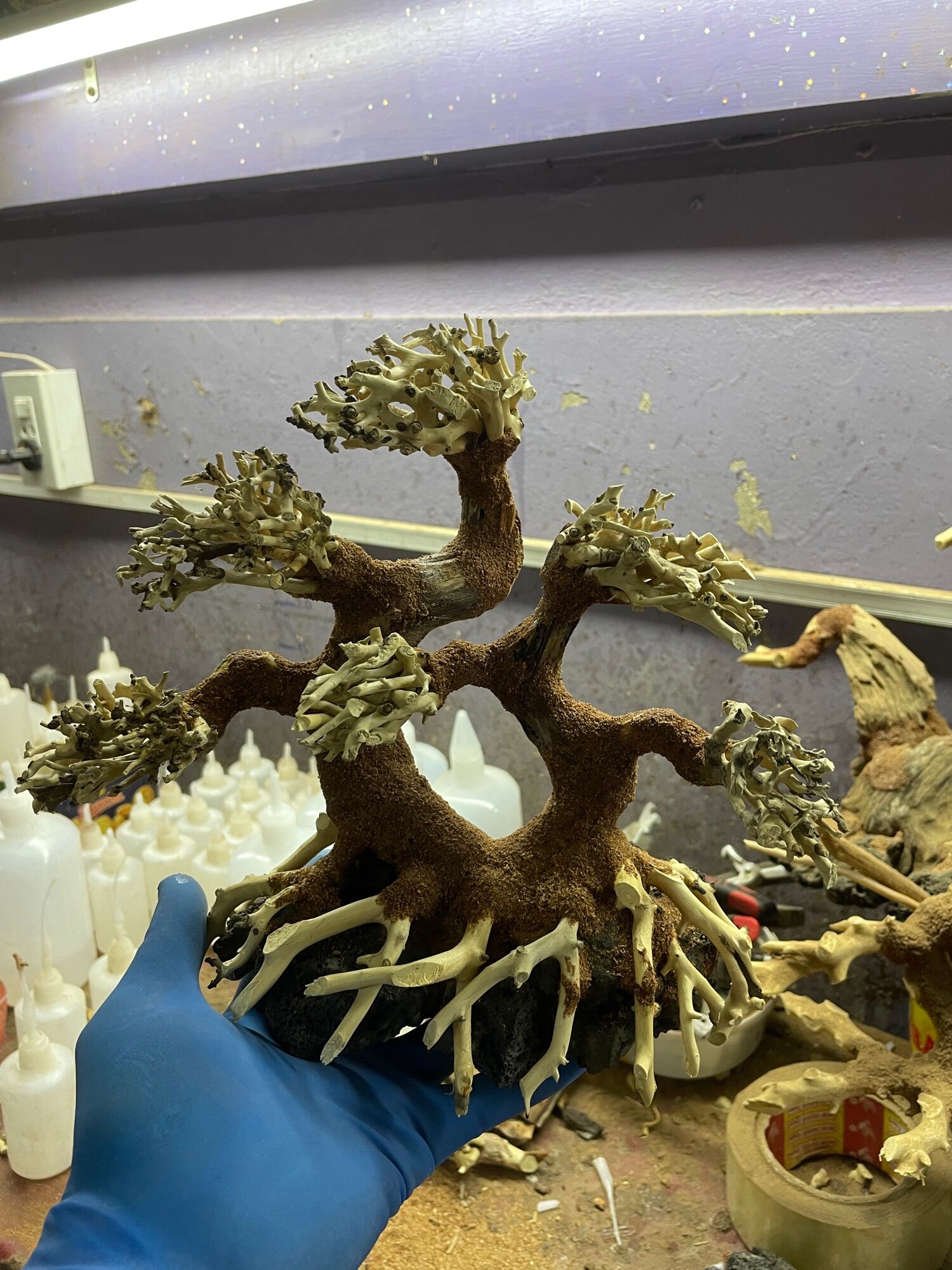 Lũa bonsai 2 thân cao 15cm dài 20cm