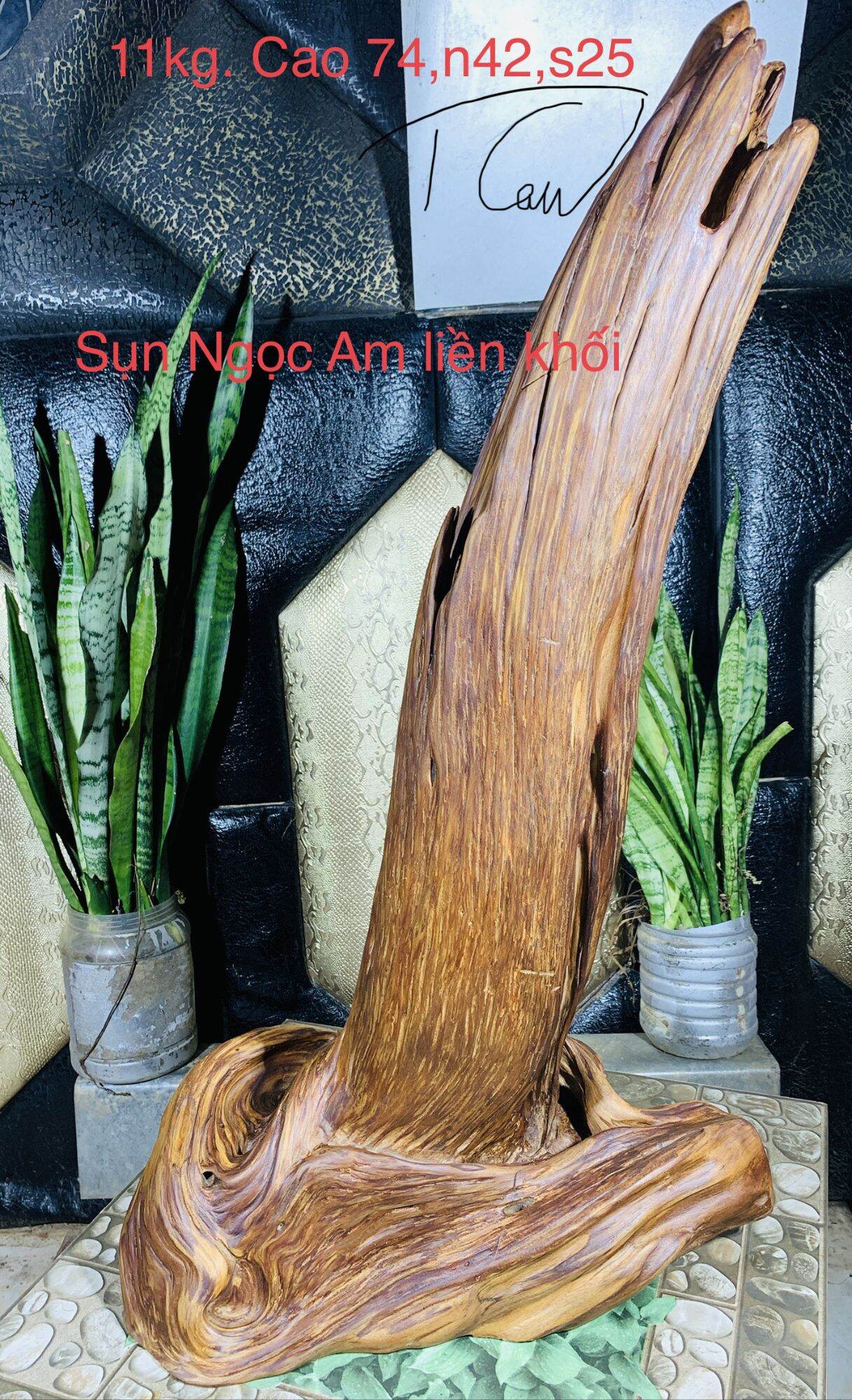 Lũa gỗ thơm ngọc am đỏ hà giang