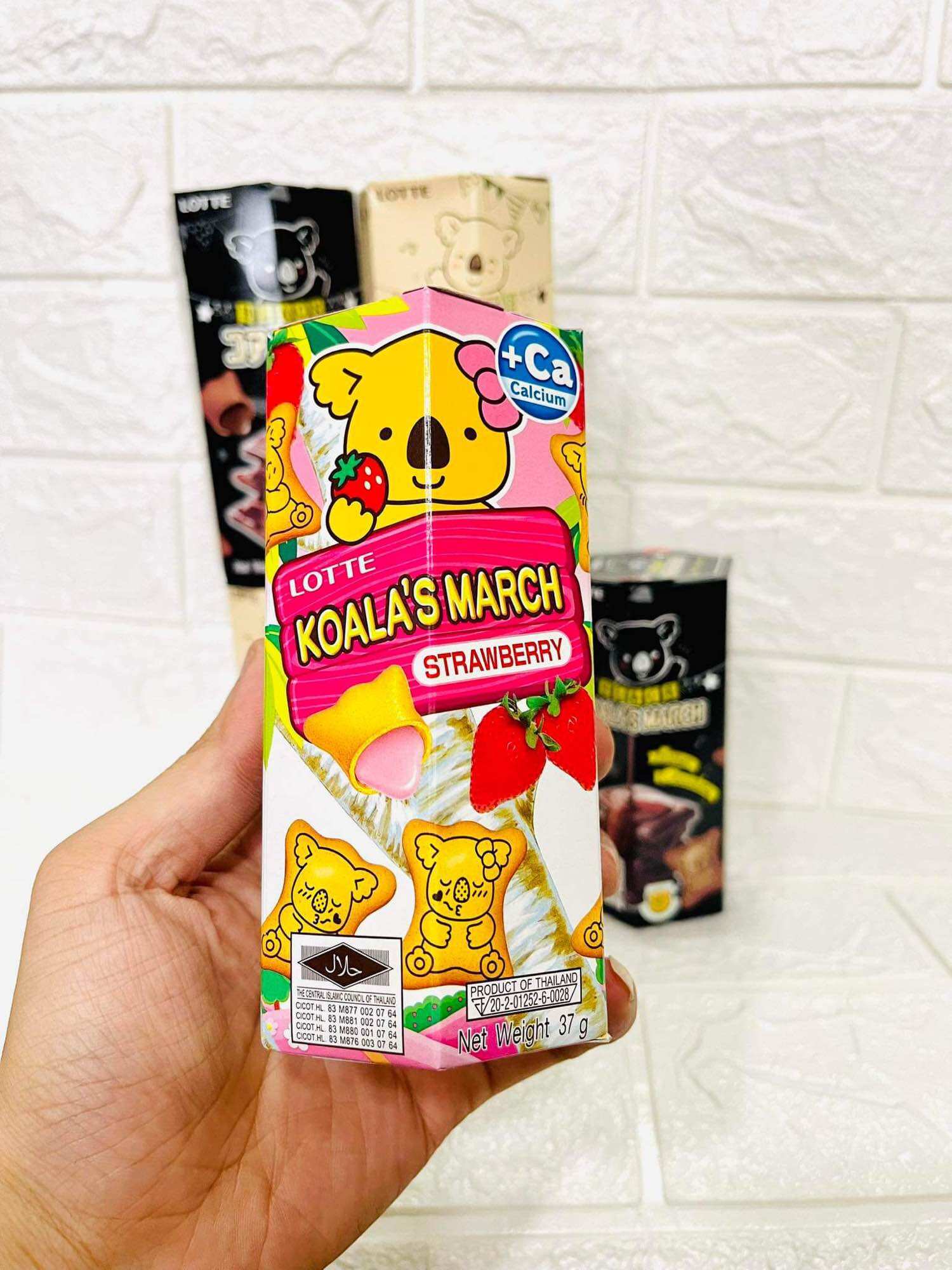 Bánh Gấu Koala’s March 37g