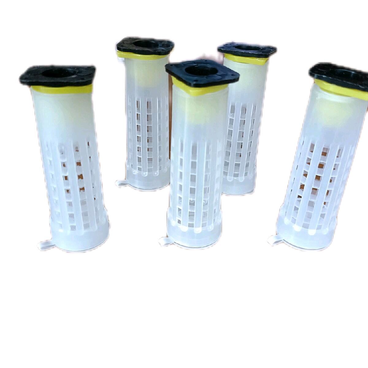 5 lồng nhốt chúa