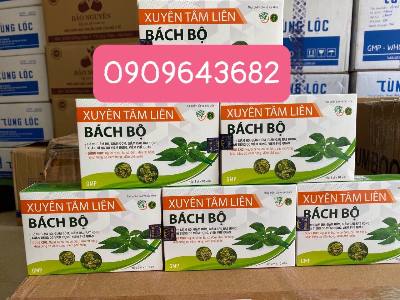 Xuyên tâm liên bách bộ