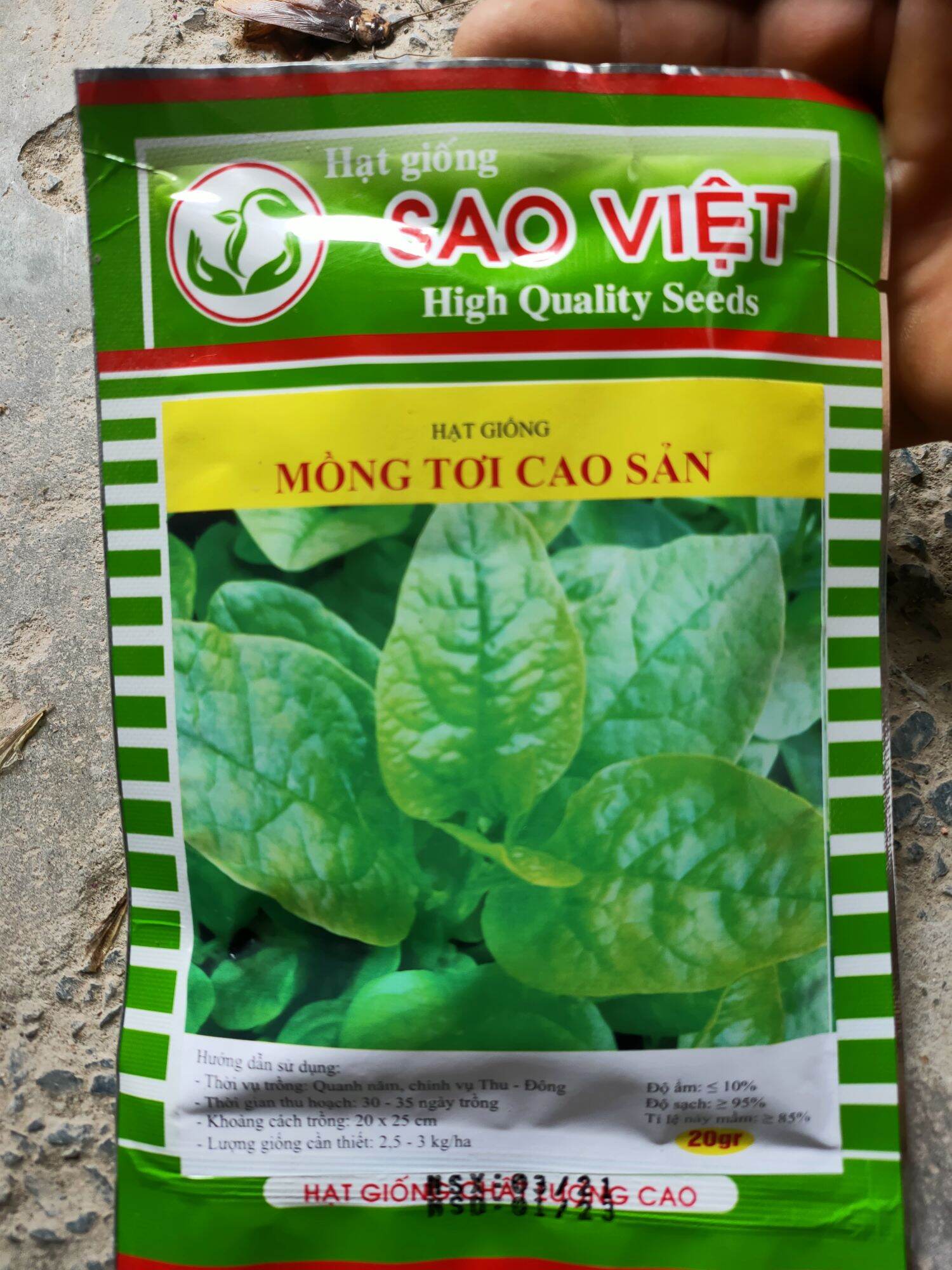 hạt giống rau mồng tơi [gói 20g]