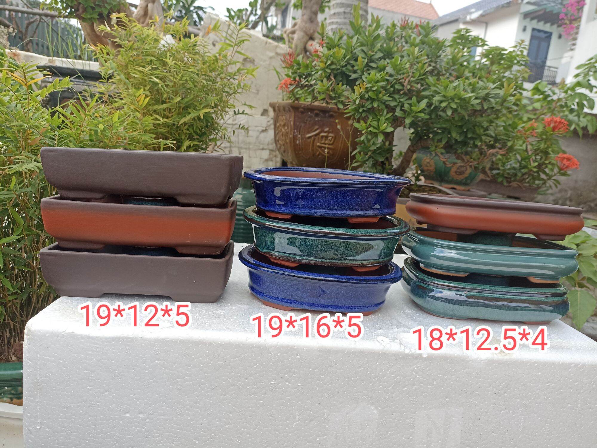 Combo 9 chậu bonsai cao cấp