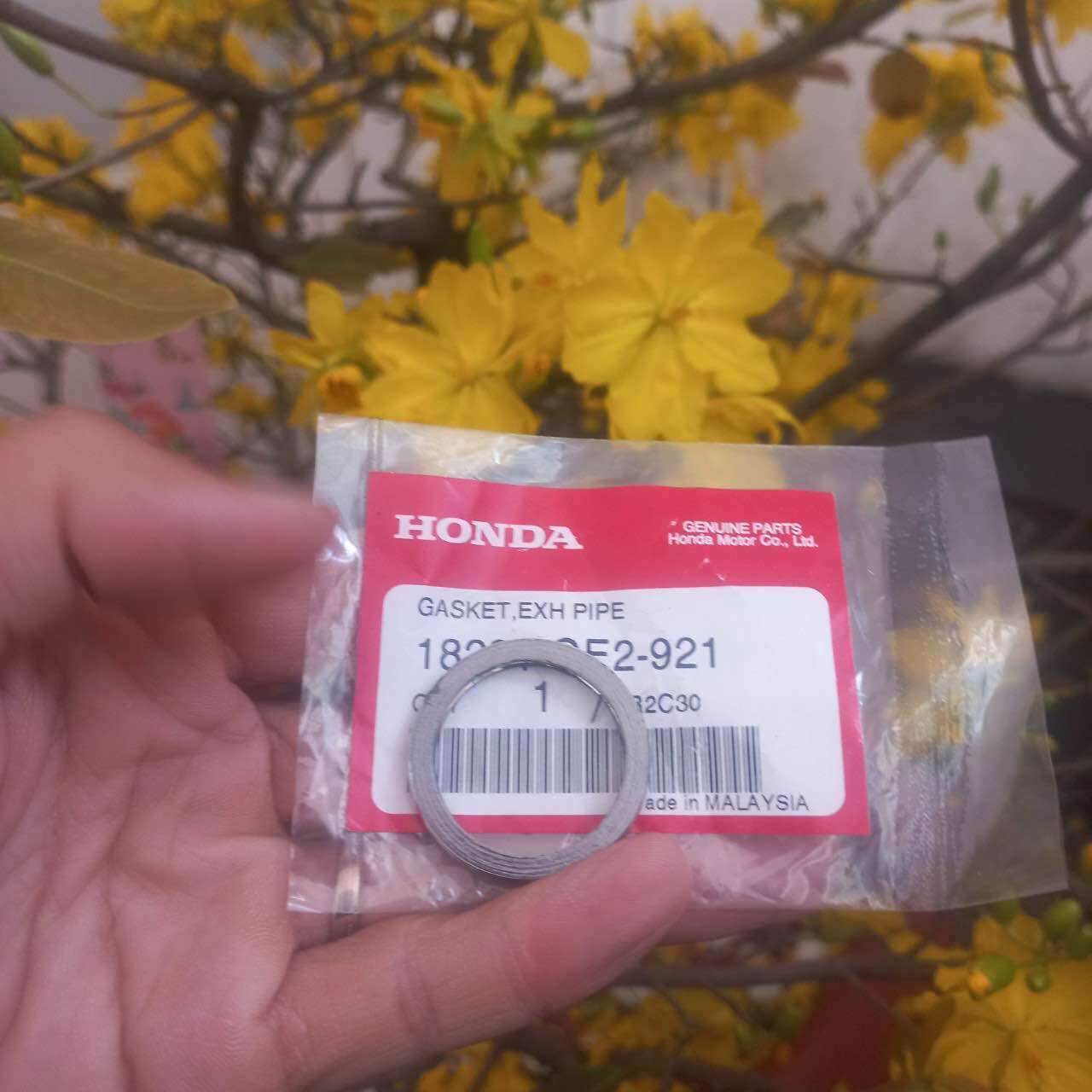 Ron cổ pô click . vario . pcx . lead . ab . shvn : 125 - 150 - 160