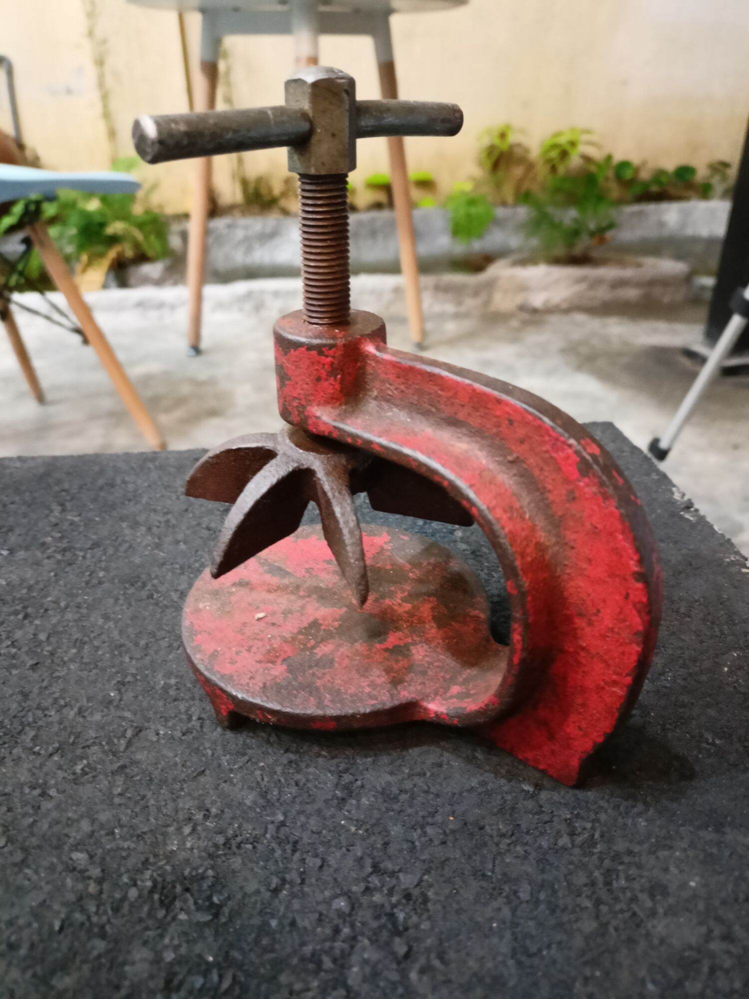 Cảo cùm trái khế hàng Nhật Bãi