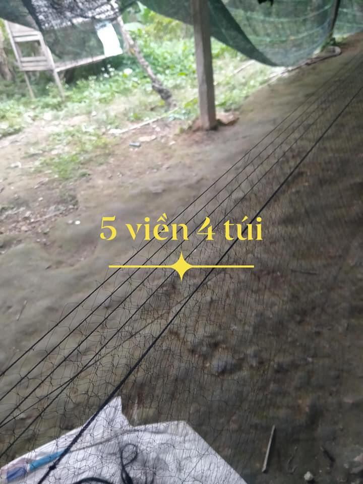 20m lưới bẫy chim ri,sẻ,sâu,mi,hoành hoạch..cao 5m mắt 3p 5 dây 4 túi