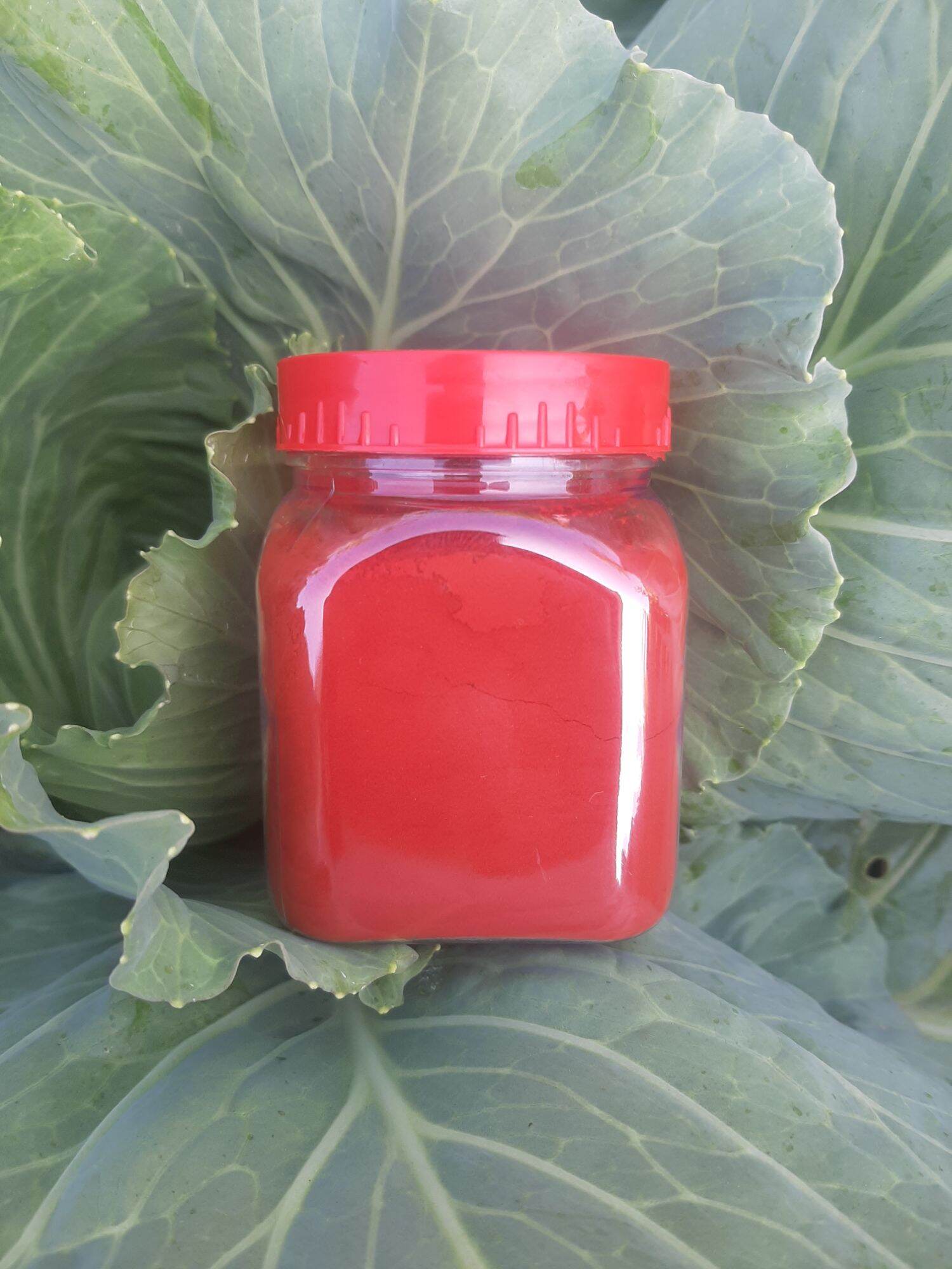 BỘT NGHỆ ĐỎ NGUYÊN CHẤT HỦ 100G DÙNG CHO GÀ ĐÁ