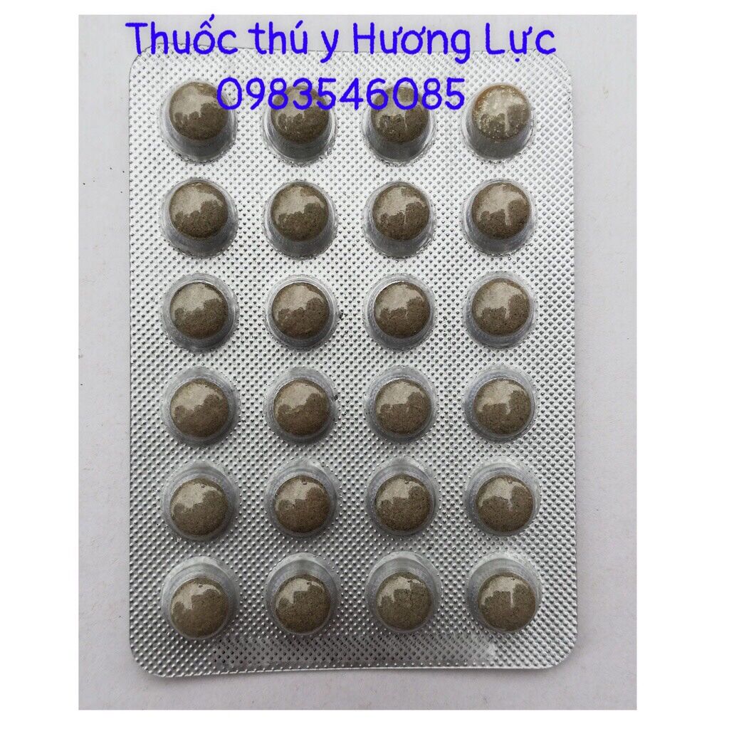 10 vỉ viên ôn thanh (24 viên 1 vỉ)
