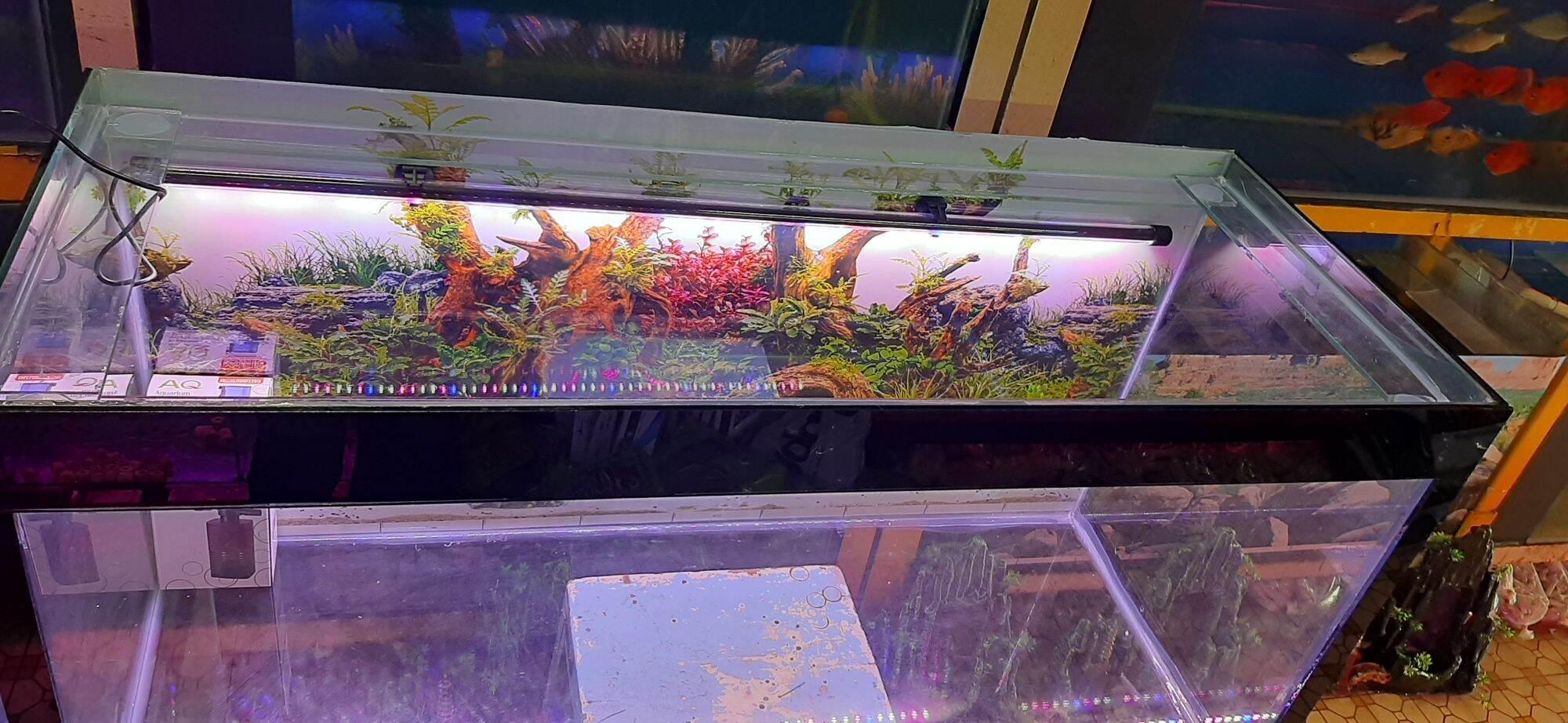 Hồ cá 1m*35*40. bao  rẻ  đẹp bền cho khách hàng