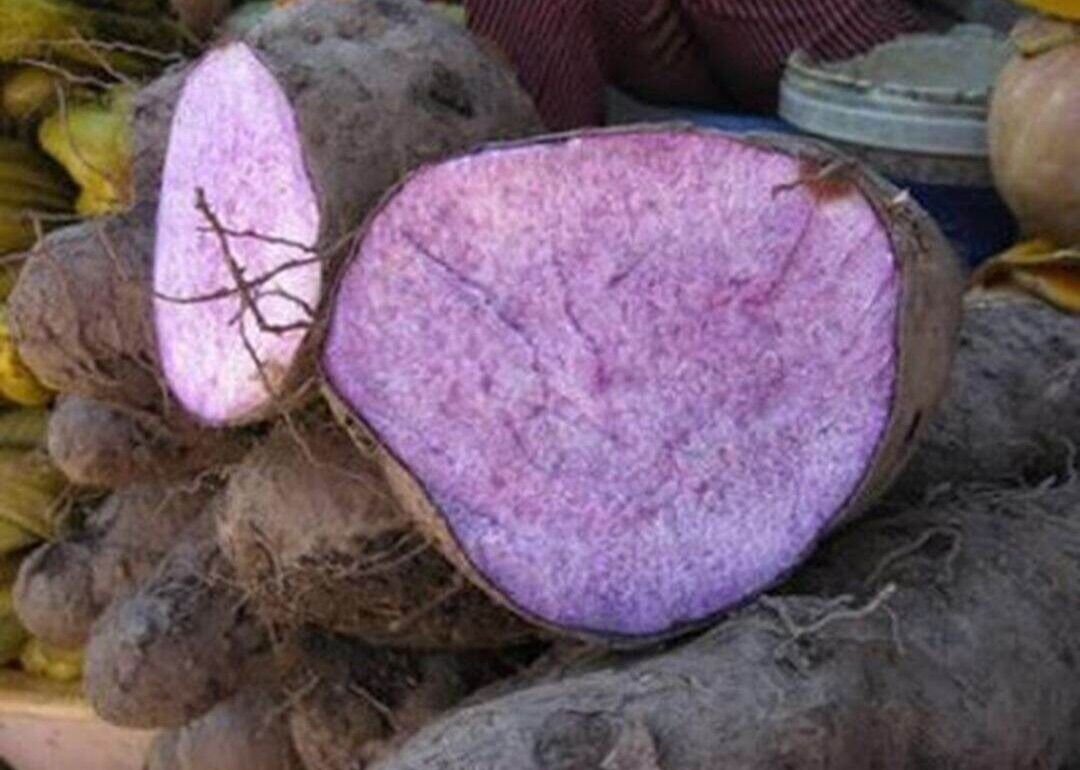 Khoai mỡ 1kg