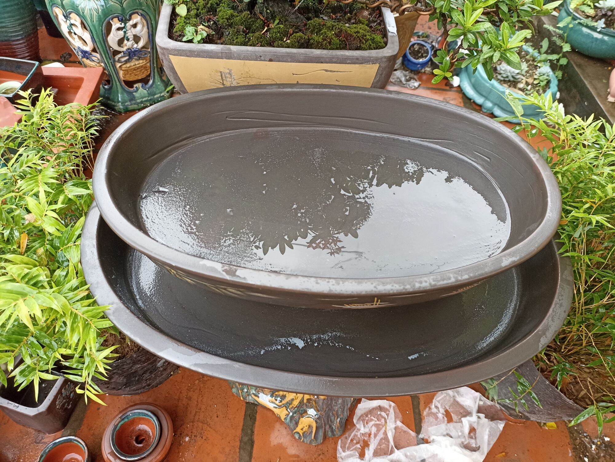 khay tiểu cảnh ovan nâu cafe