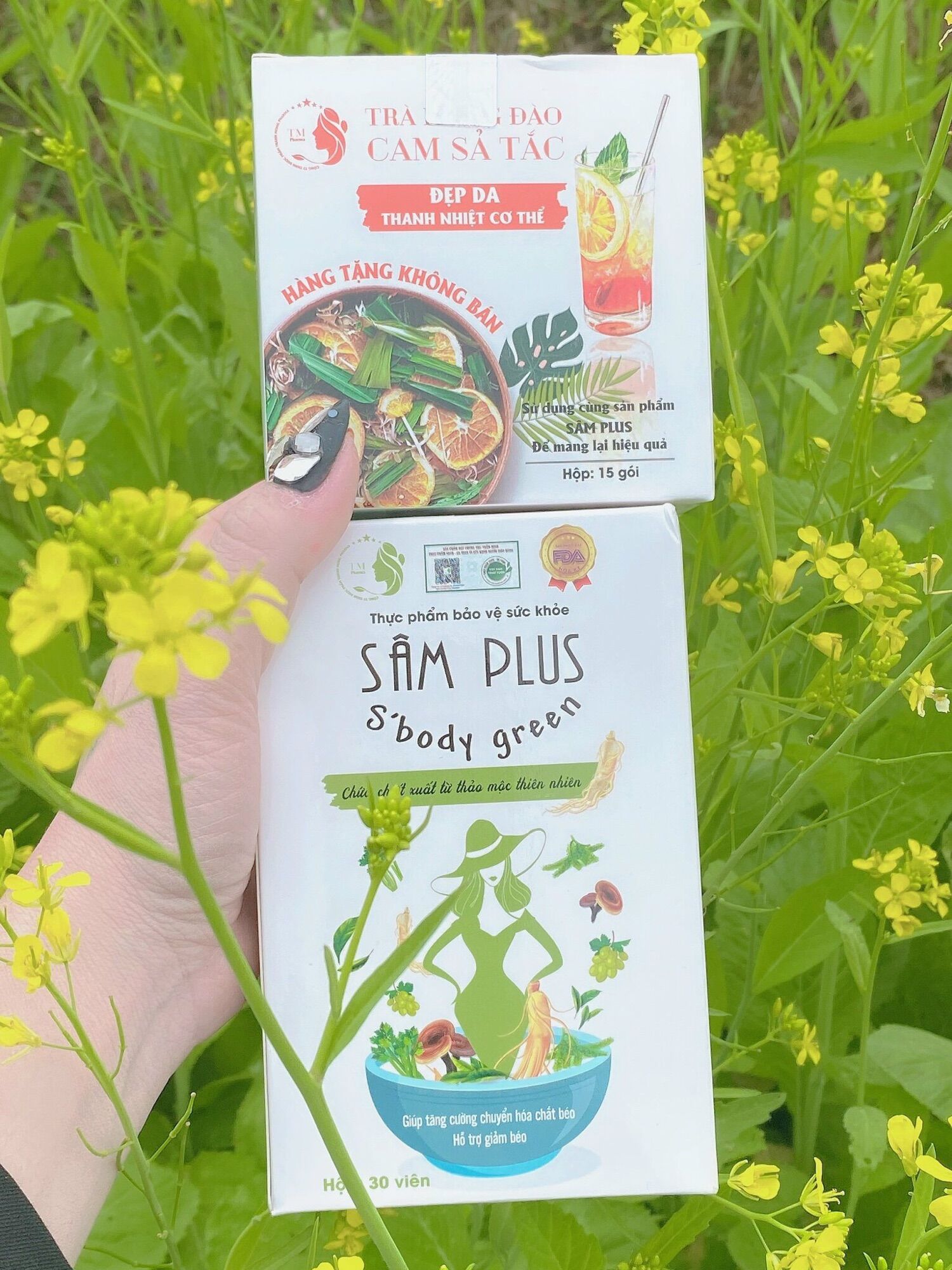Giảm cân Sâm plus-5 hộp/2500k
