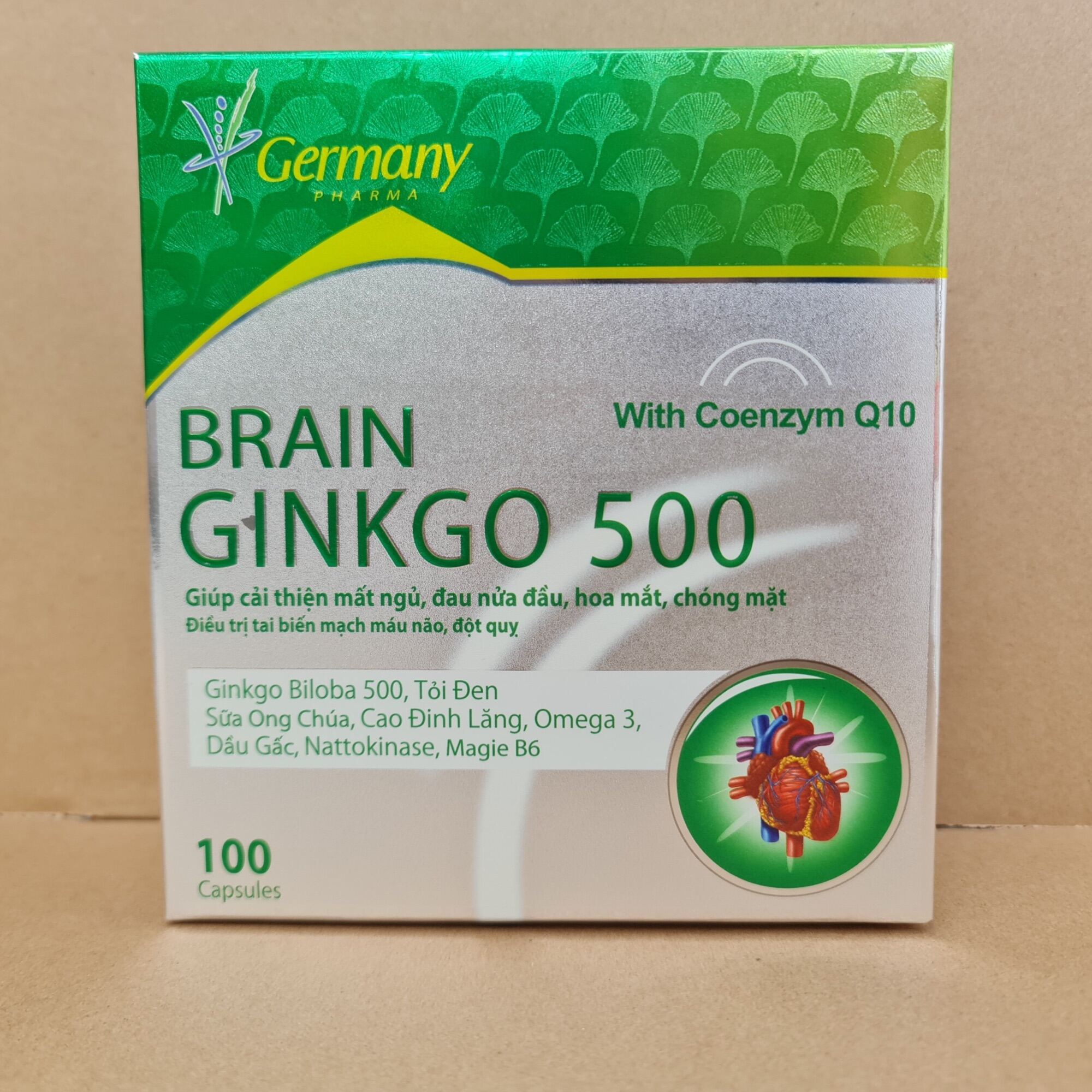 [Hcm]Brain Ginkgo 500 - Giúp Hoạt Huyết Tăng Cường Lưu Thông Máu