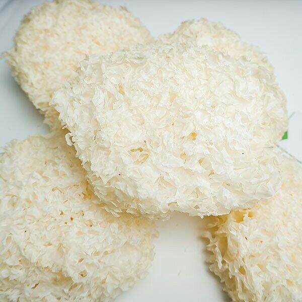 Nấm Tuyết Sấy Khô Vụn