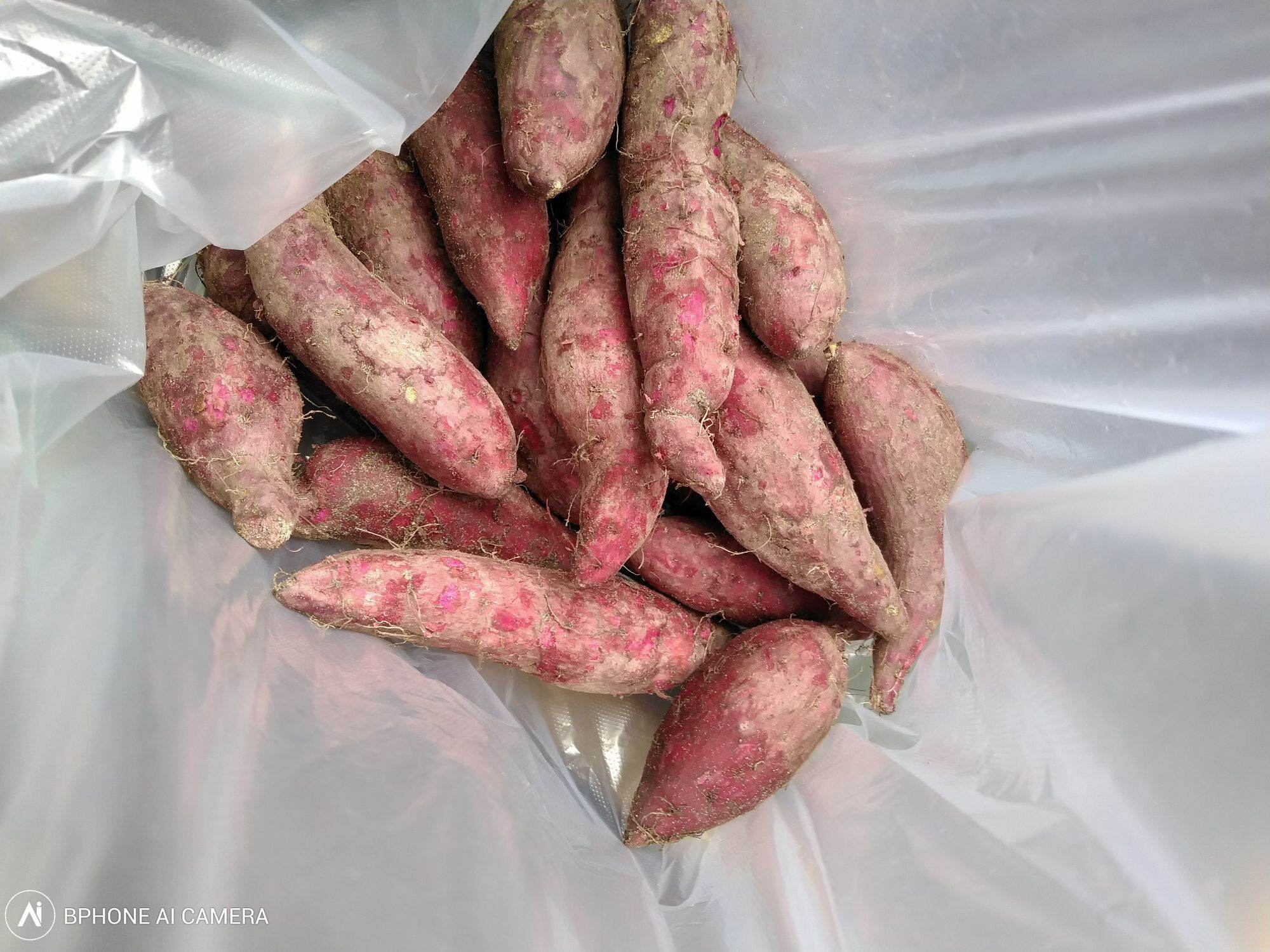 khoai lang tím Vĩnh Long (1kg)