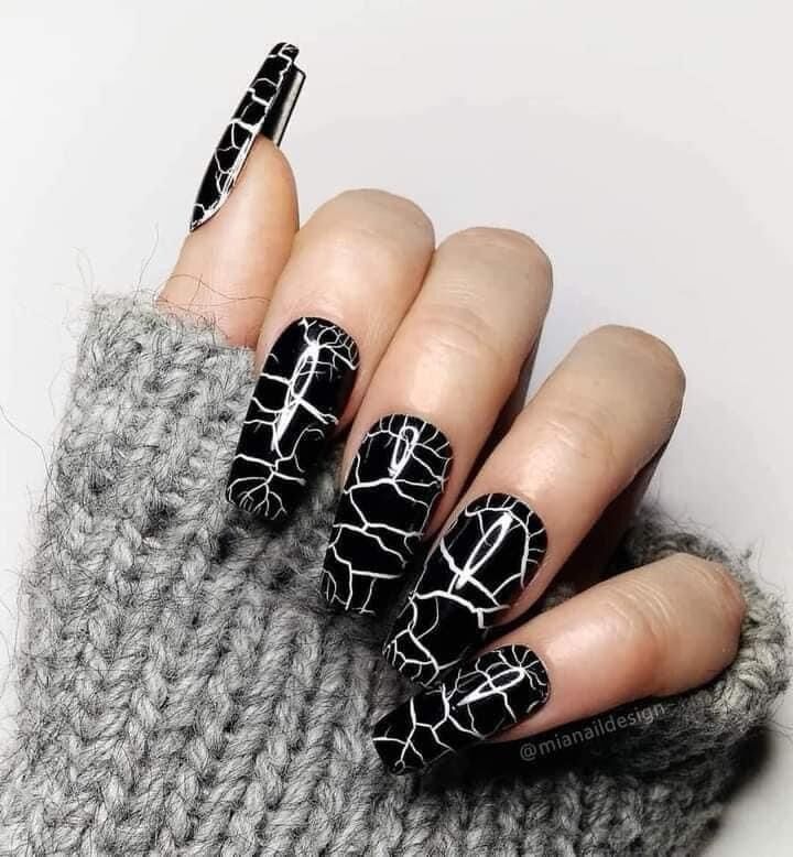 Sơn nứt bán lẻ đen trắng