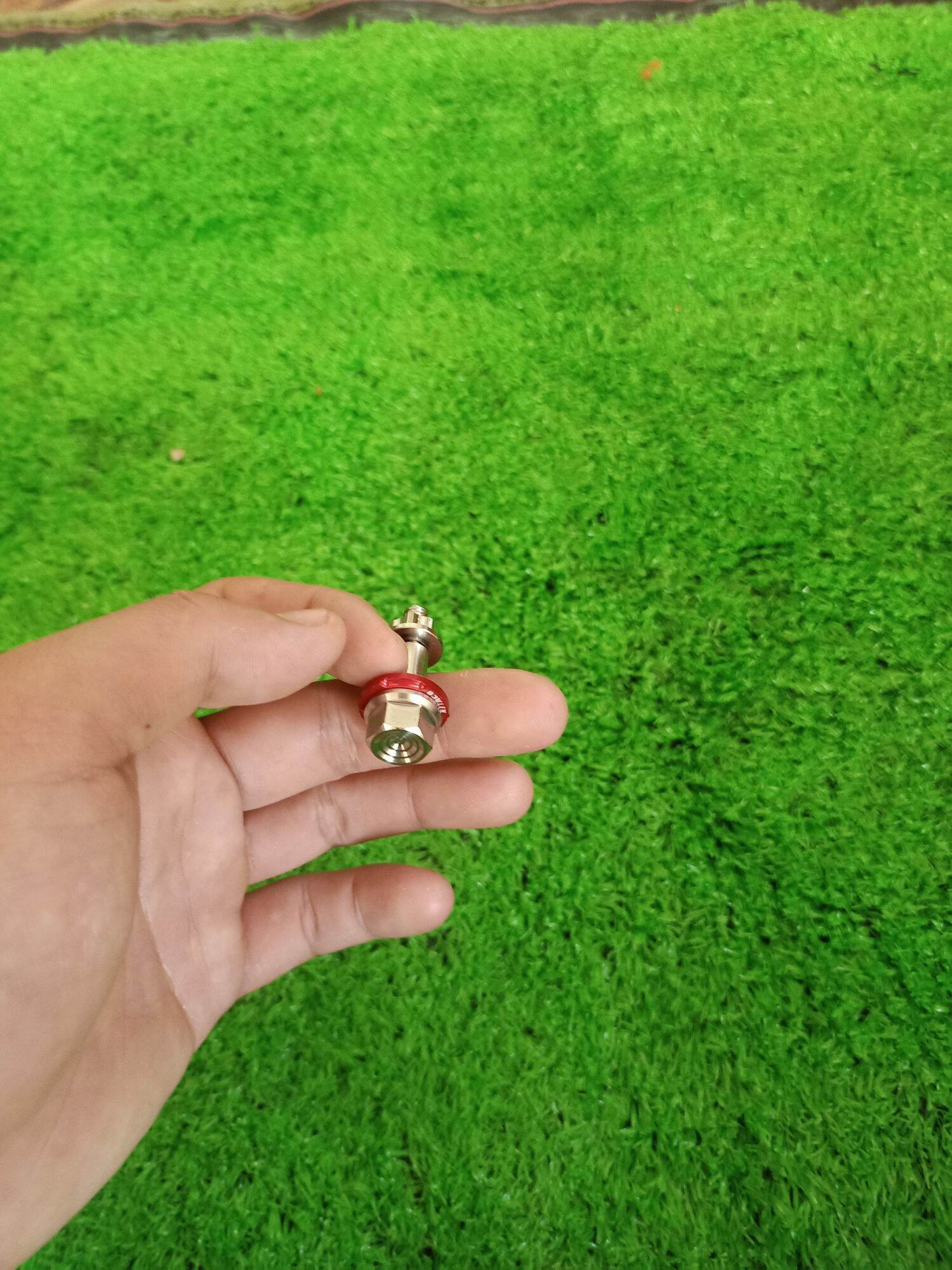 Ốc Tay Thắng Đĩa Salaya Kèm Tán