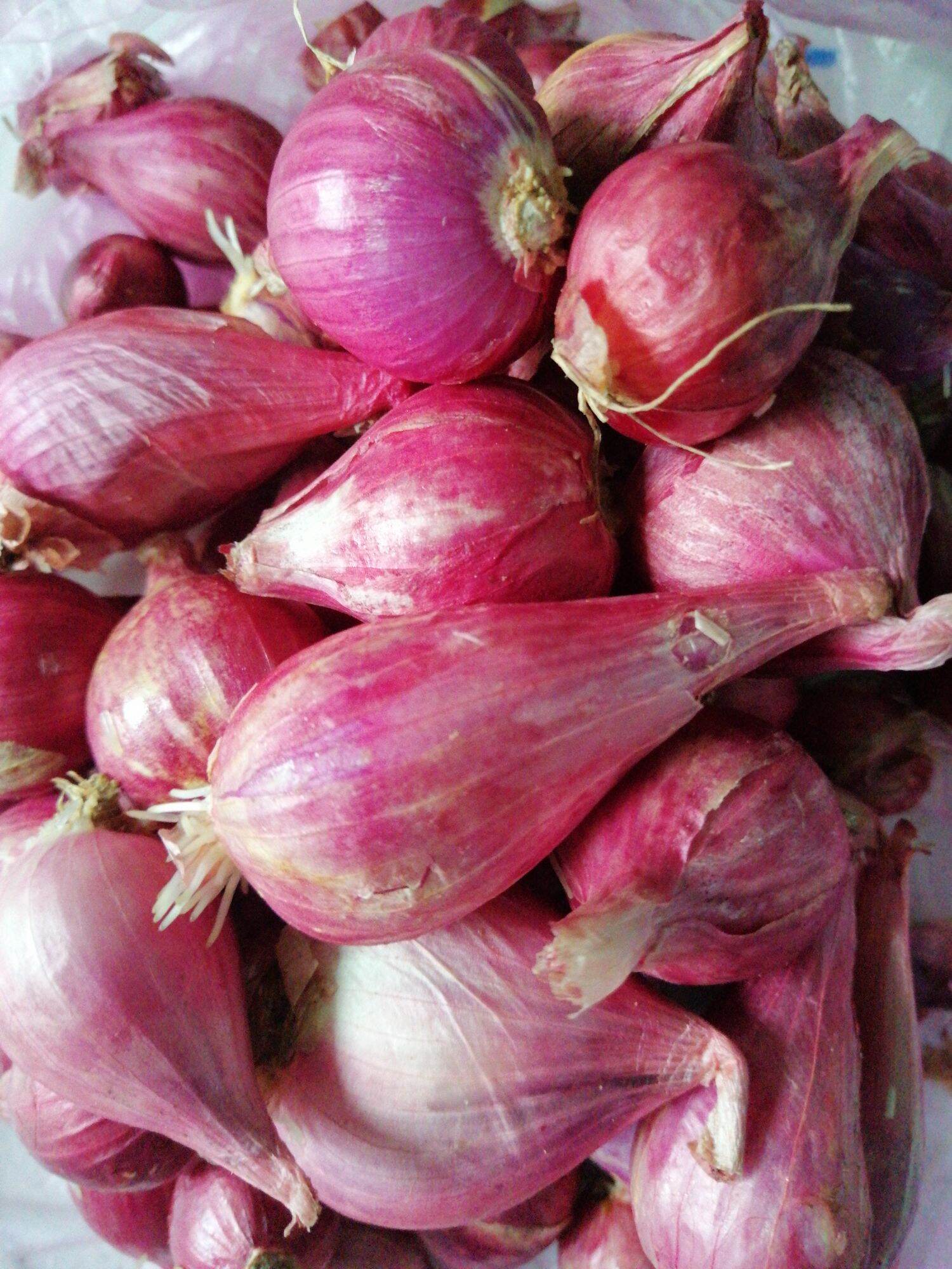 1kg hành củ tím, hành hương (đảo lý sơn  loại 1 củ to)