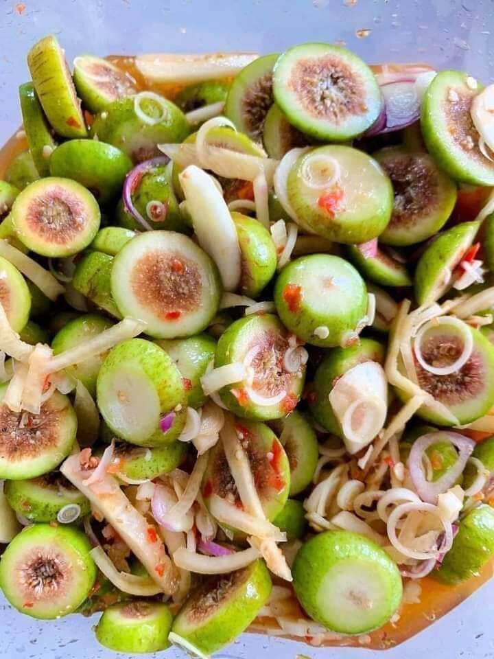 Cây Sung Nếp siêu trái