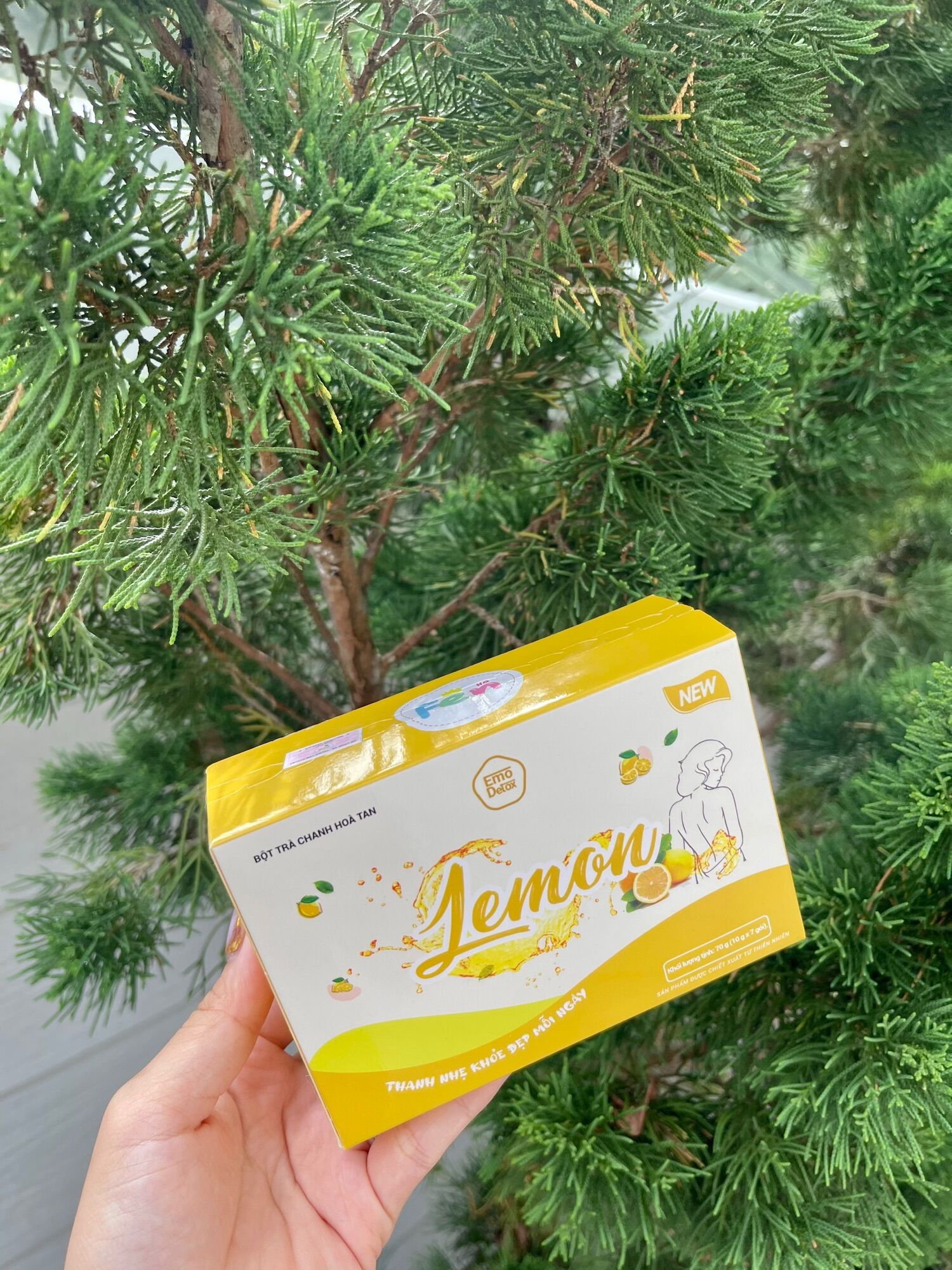 BỘT HOÀ TAN VỊ LEMON