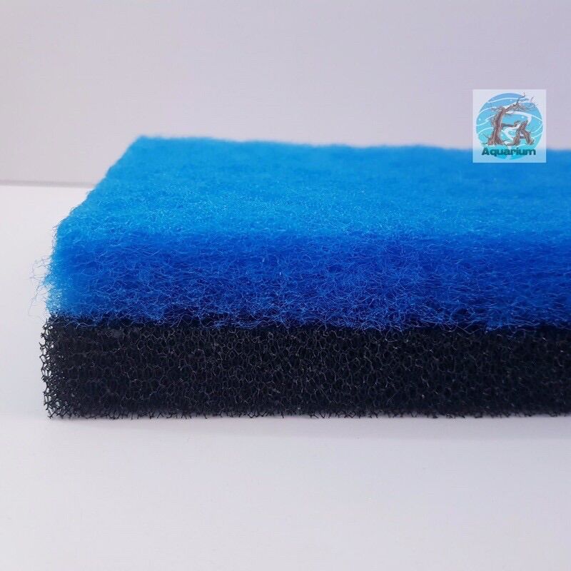 Bông lọc xanh đen loại tốt