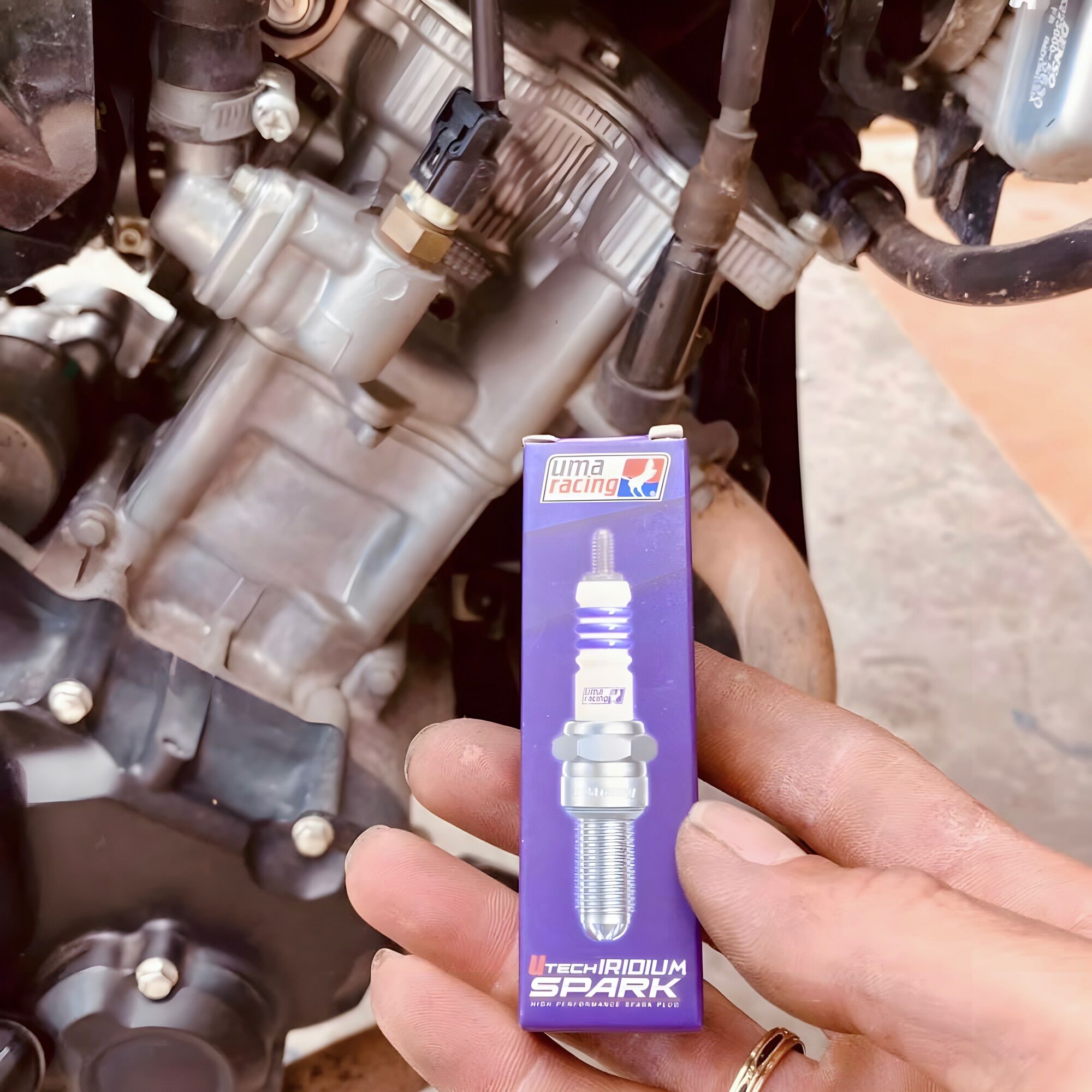 Bugi Uma bạch kim 3 chấu cho ex150/ex135