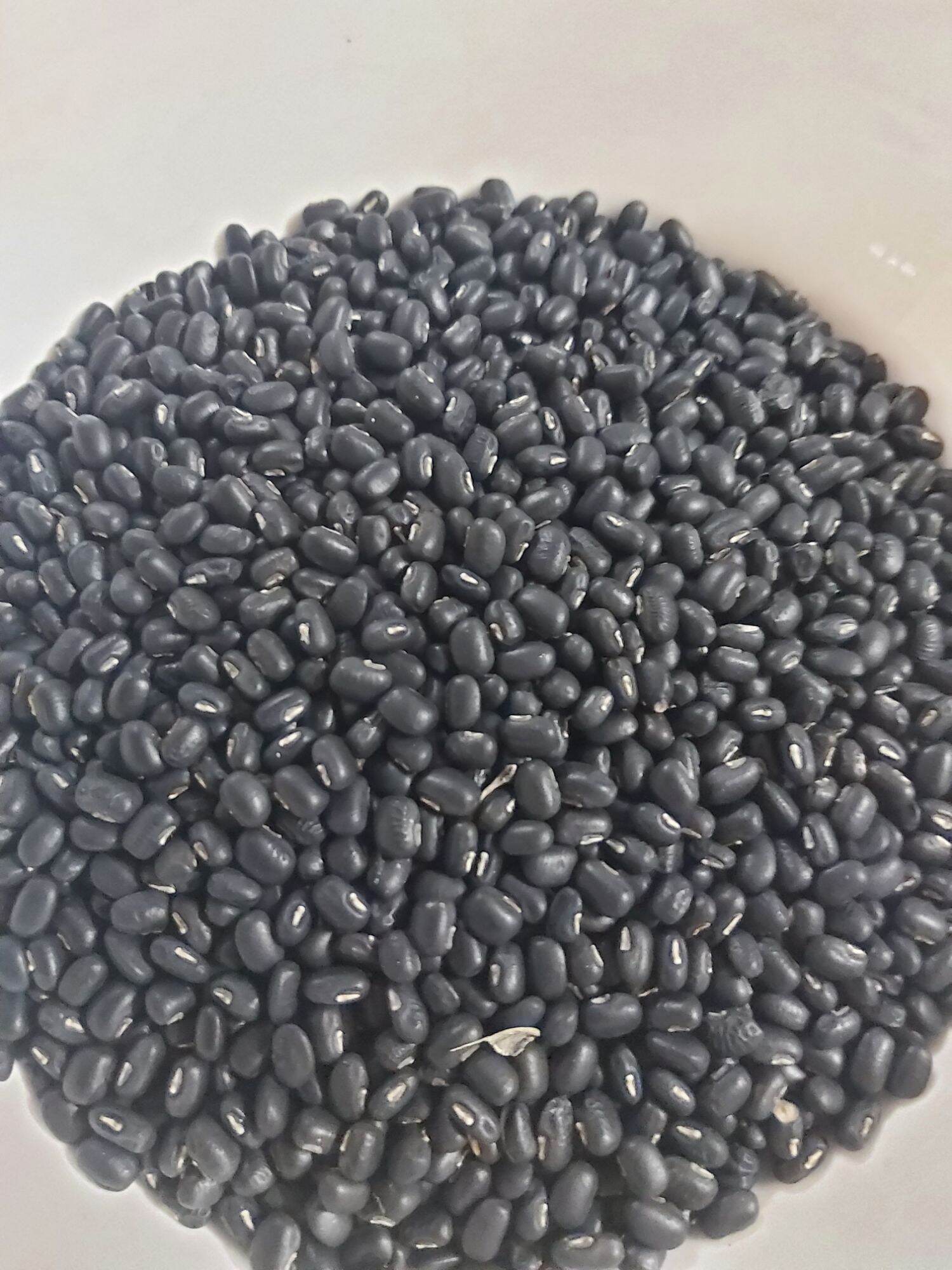 Đậu đen xanh lòng hạt nhỏ 1kg