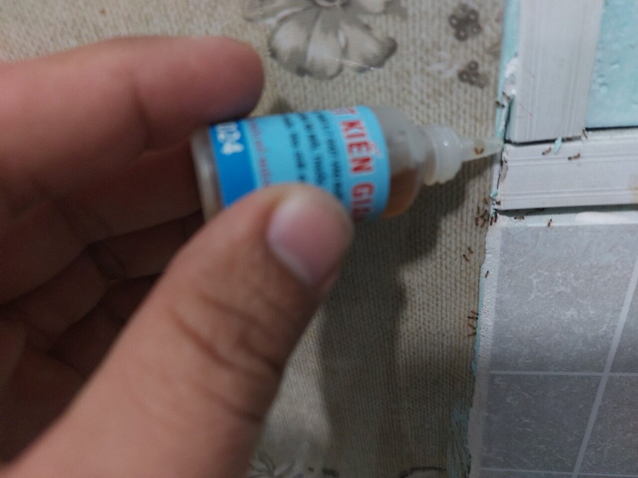 Bả kiến sinh học từ mật mía 🐜🐜🐜