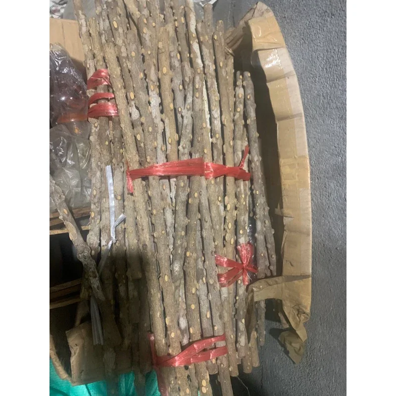 Cầu gạo cho chim chào mào