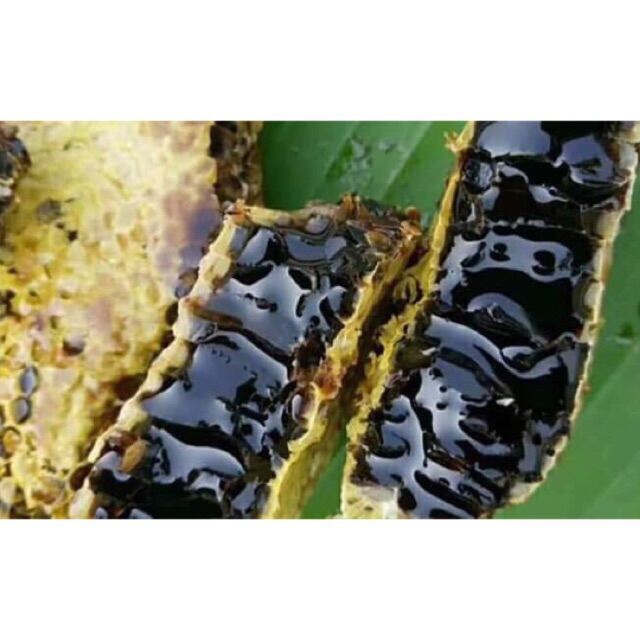 Mật Ong Đắng Rừng Chuẩn Hoa Sâm Ngọc Linh Nguyên Chất 100%