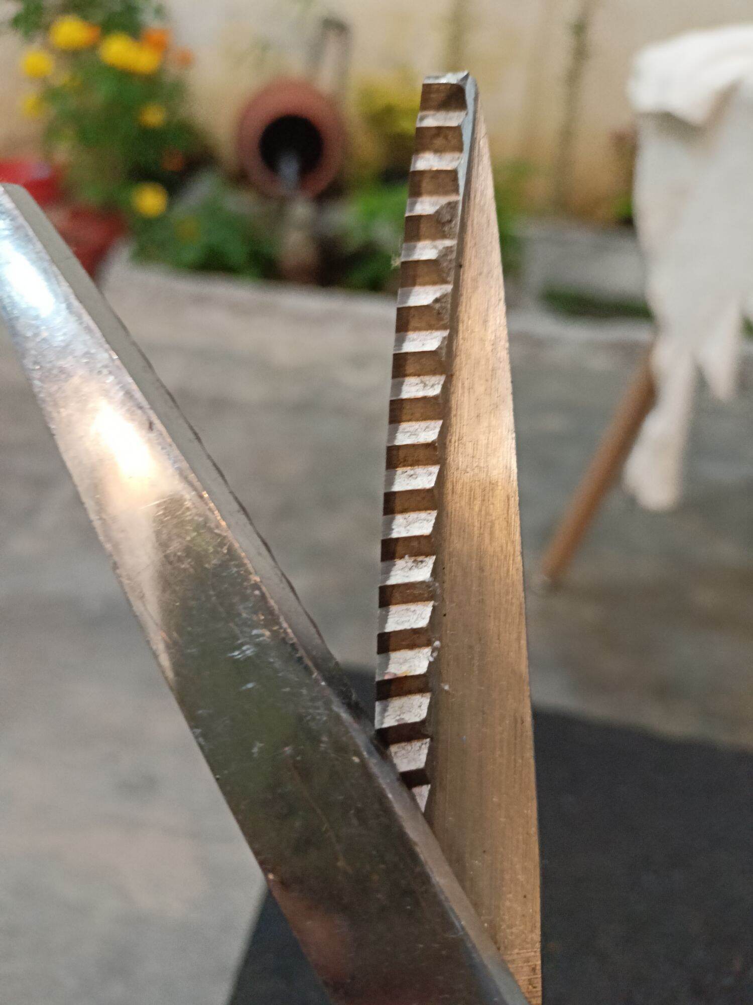 Kéo chuyên dụng răng cưa hàng Nhật Bãi