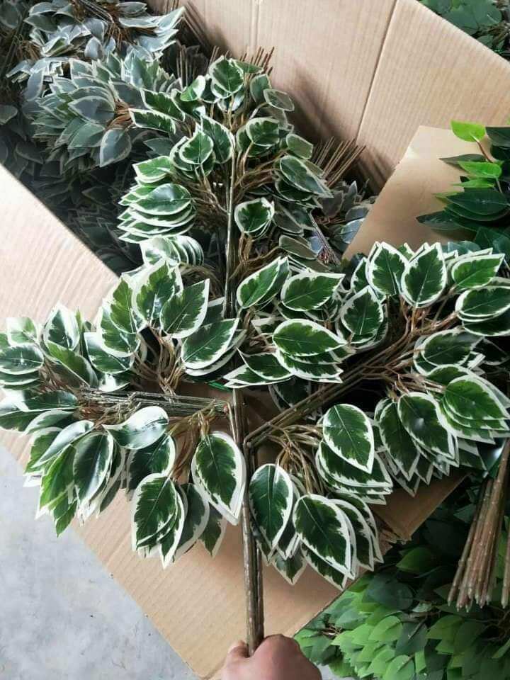1 bó ( 12 cành) Lá Si trang trí tuyệt đẹp