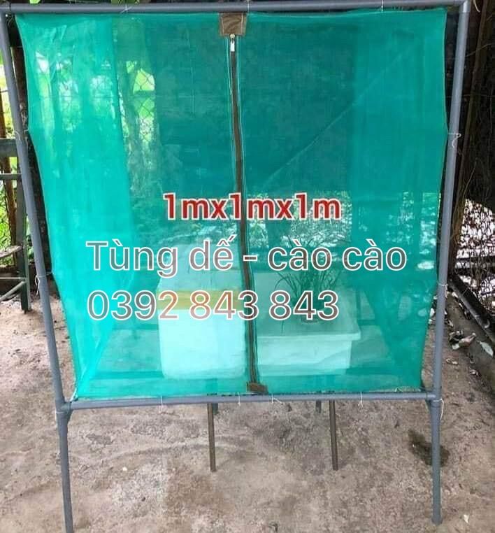 lồng nuôi cào cào