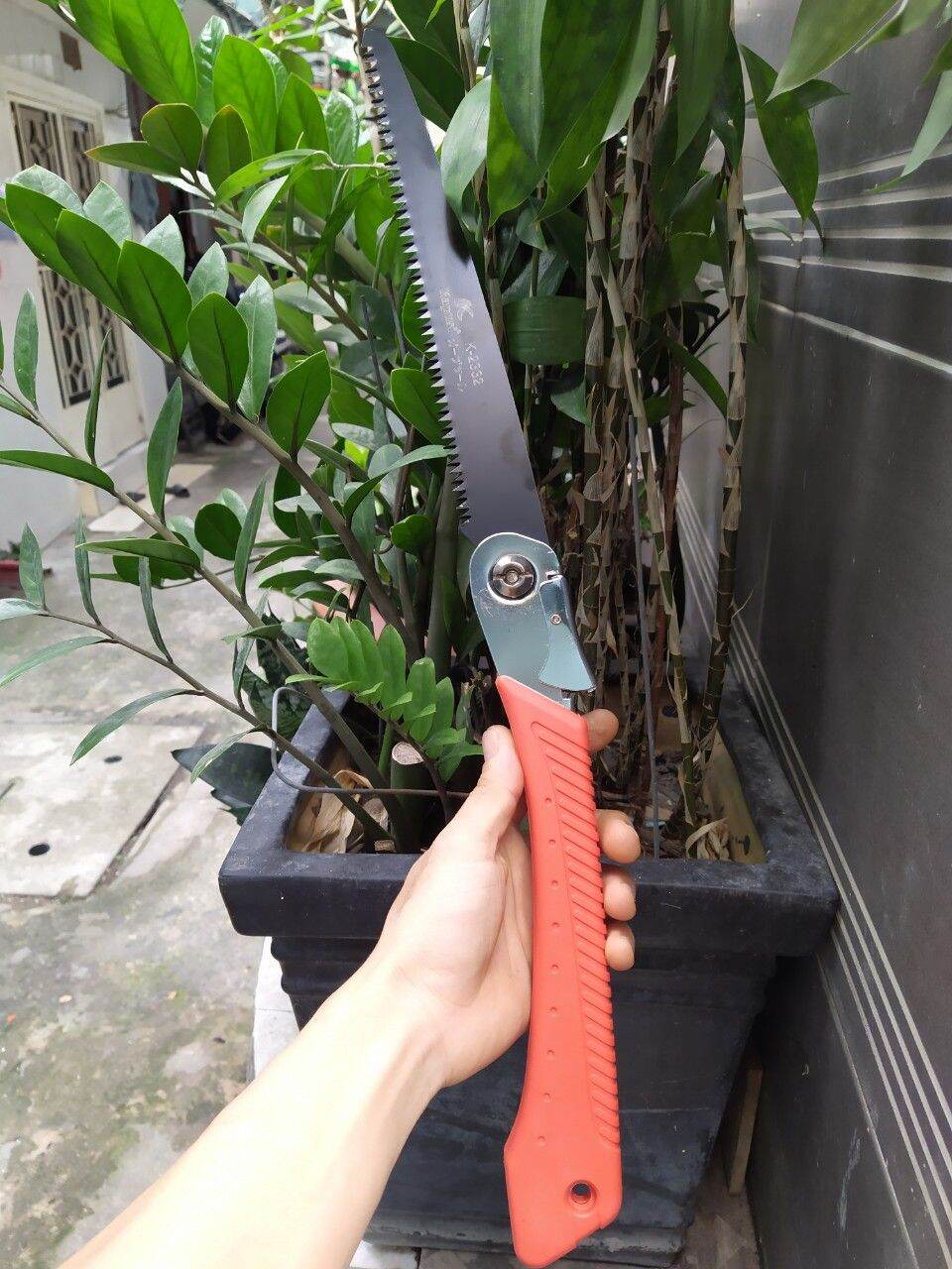 Cưa gỗ gập lưỡi Kapusi