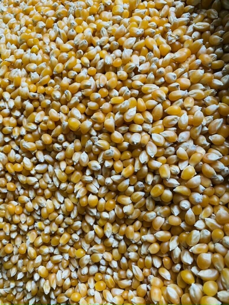 Sét 1kg bắp rang bơ đủ vị