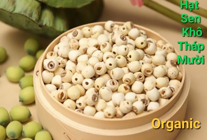 Sen trắng tháp mười-hạt sen khô organic