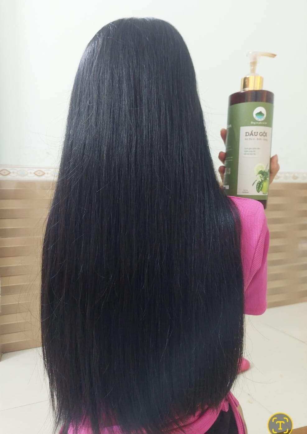 Dầu gội Hà Thủ Ô-Bưởi - Gừng