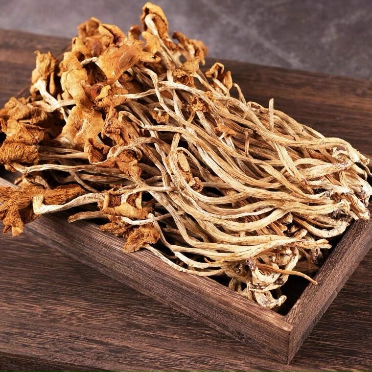 Nấm trà tân 250g dùng để xào rất ngon và bổ dưỡng