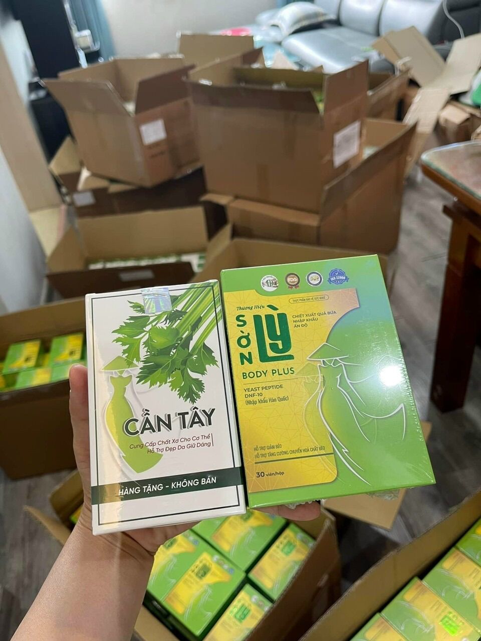 Sờn lỳ Tiến Hạnh