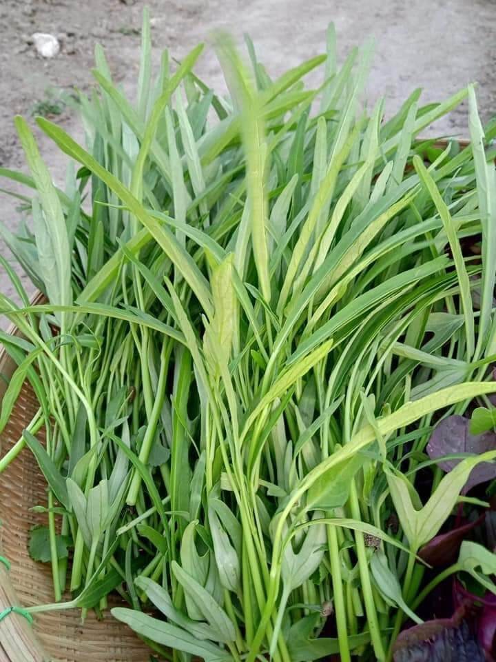 100g Rau muống lá tre
