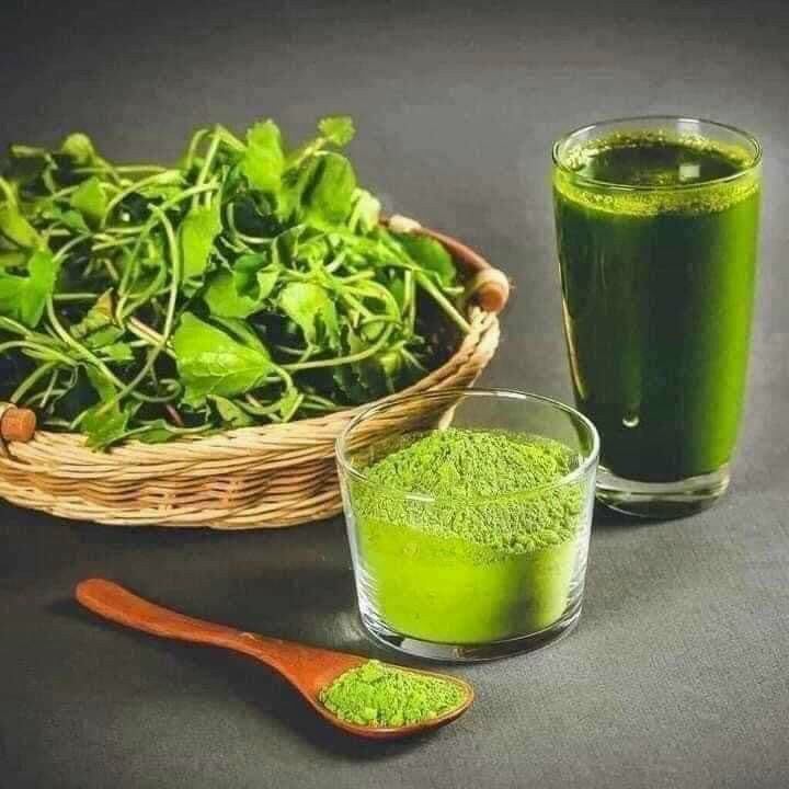 BỘT RAU MÁ SẤY LẠNH HŨ 500GR