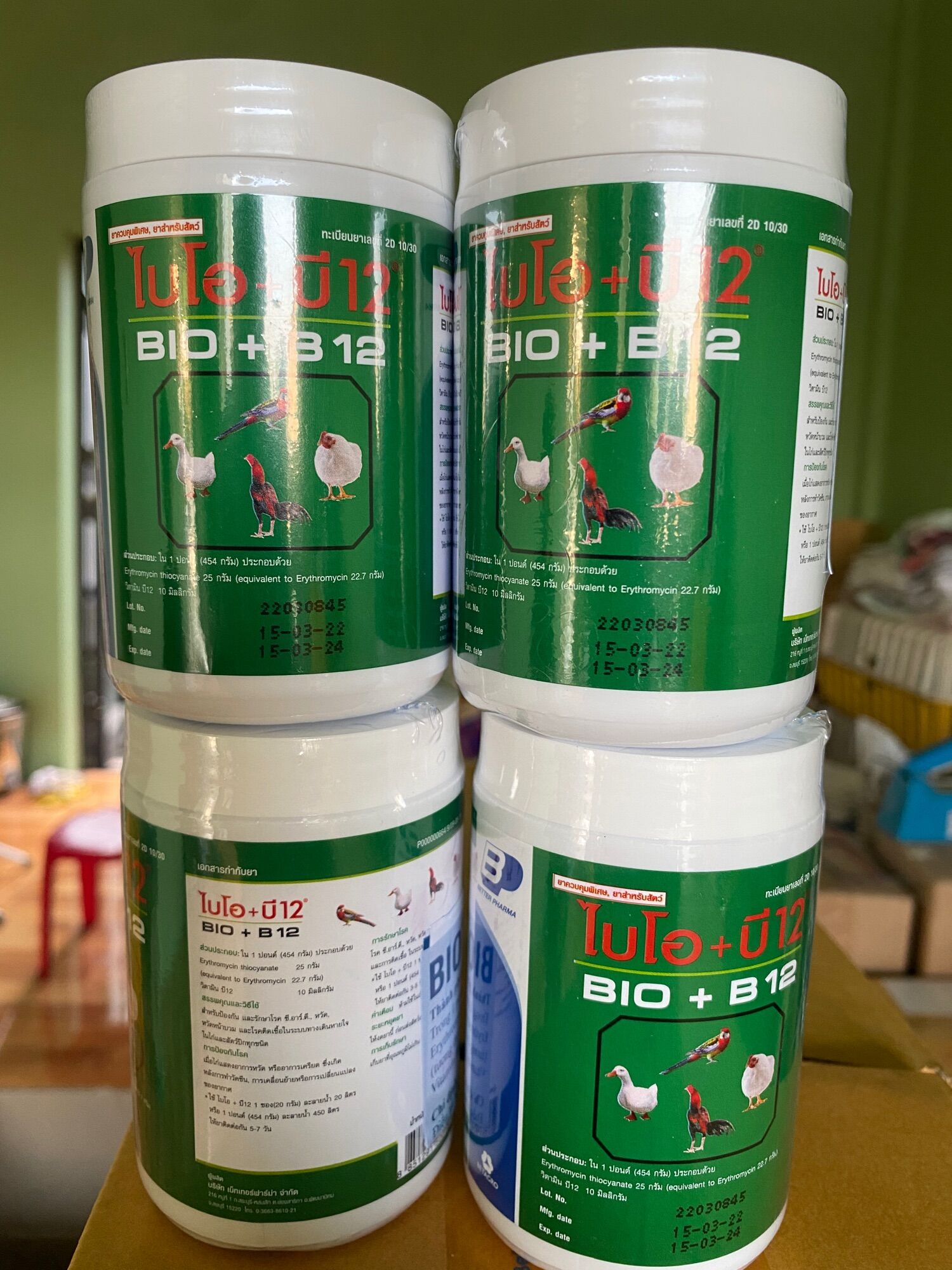 Bio B12 - ÚM GÀ CON, GÀ ĐÁ, CHIM CẢNH