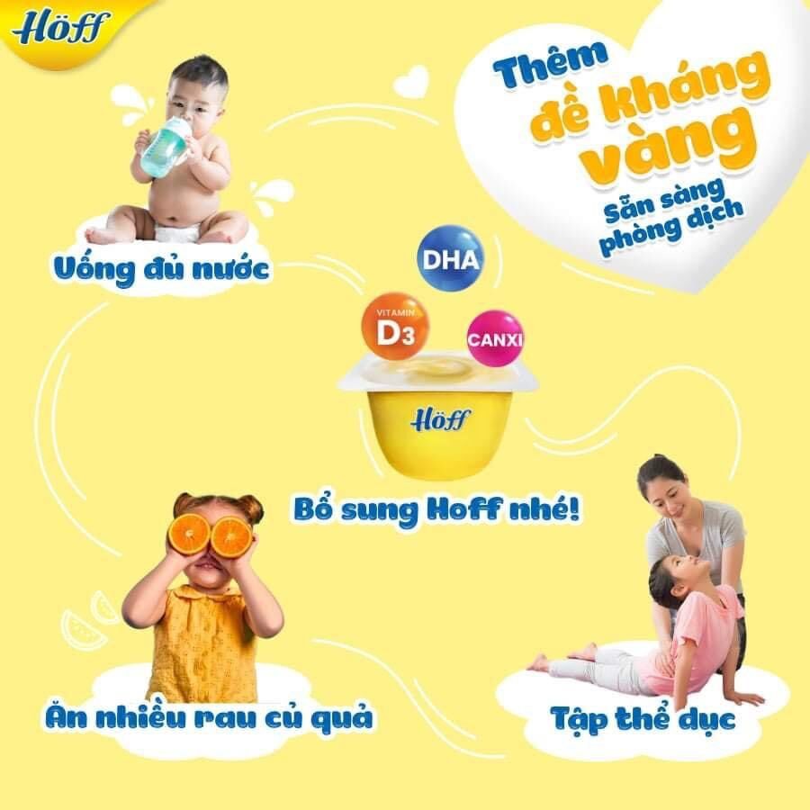 Thùng 48 hộp váng sữa Hoff đủ vị ( óc chó, sữa non, vani, hạt dẻ)