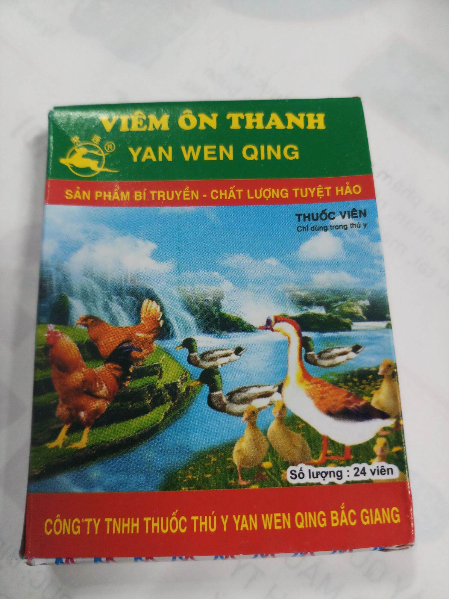 Viêm ôn thanh combo 25 vĩ* 24 viên gà khò