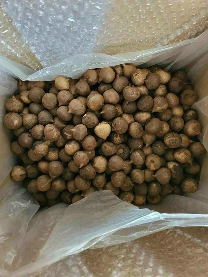 500g tỏi đen