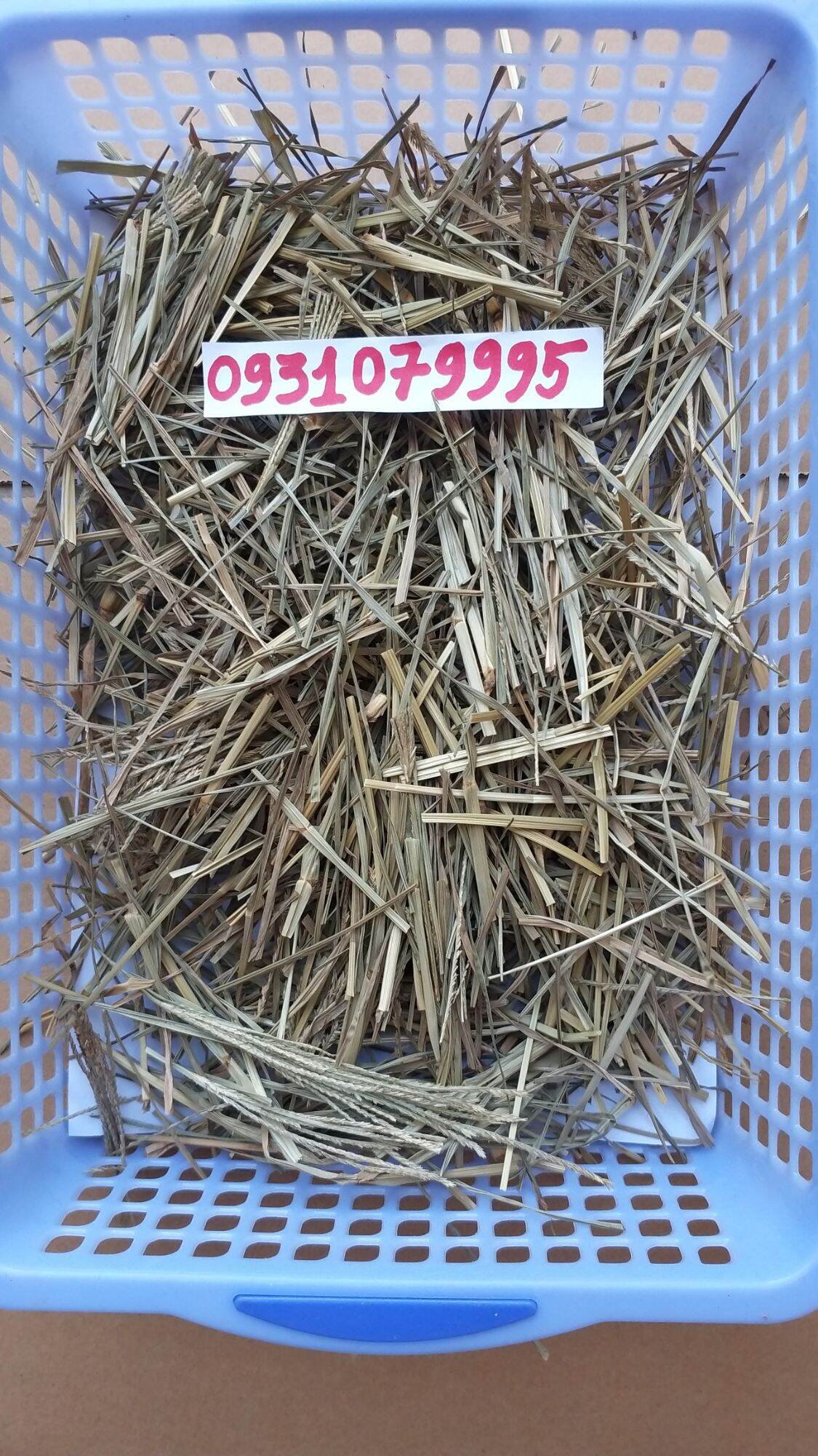 cây cỏ mần chầu phơi khô 1kg