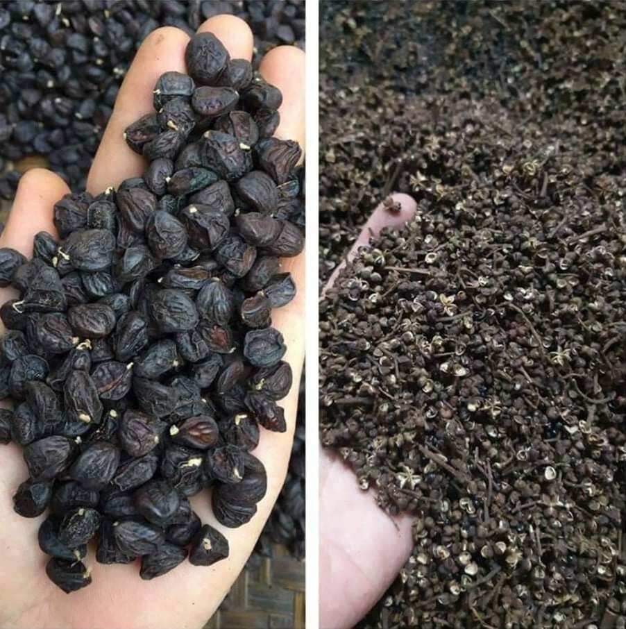 Combo 2 gói Hạt Dổi ,Mắc Khén rừng