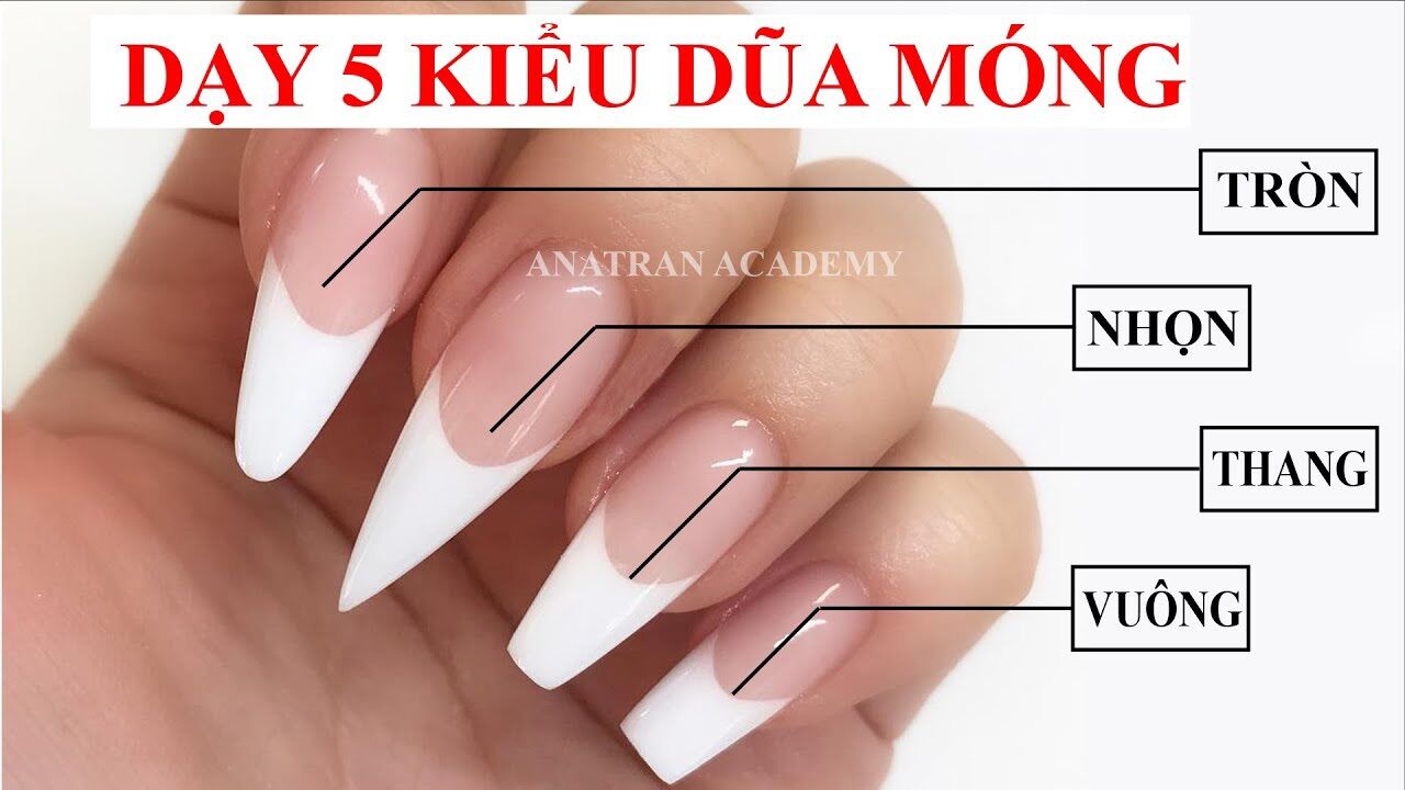 Nailbox thiết kế- mẫu nail hàn