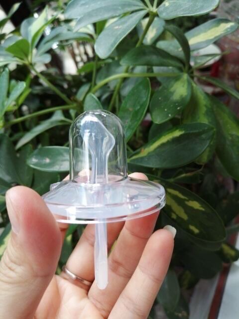 Ty ngậm silicon cacara đầu tròn/ dẹp