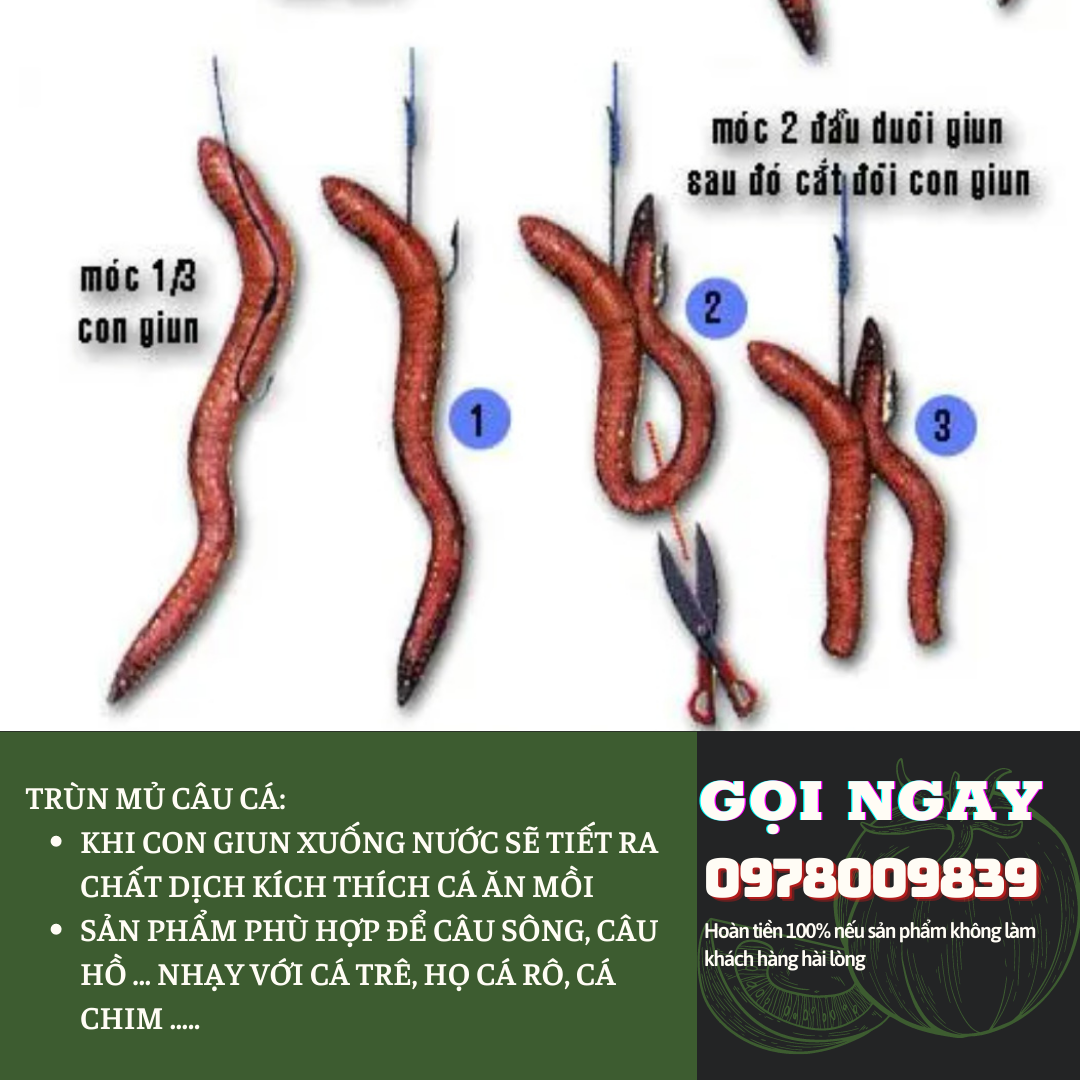TRÙN MỦ, GIUN MỦ CÂU CÁ.